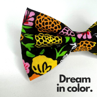 bowtie-behavior